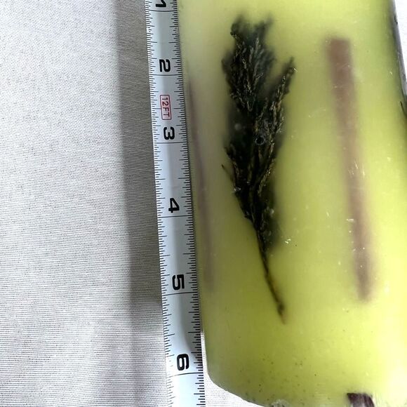 New 6”Aroma Bay Scented Pillar Candle Set Yellow Botanical Accents Pine Holiday - Picture 7 of 8